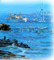 Large cruise ship on Bosphorus