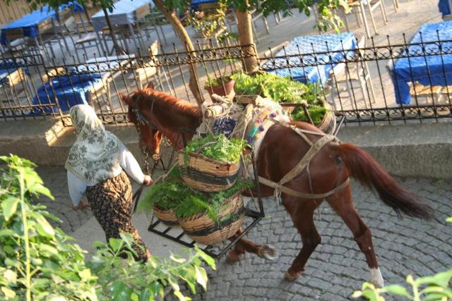Bursa woman with horse